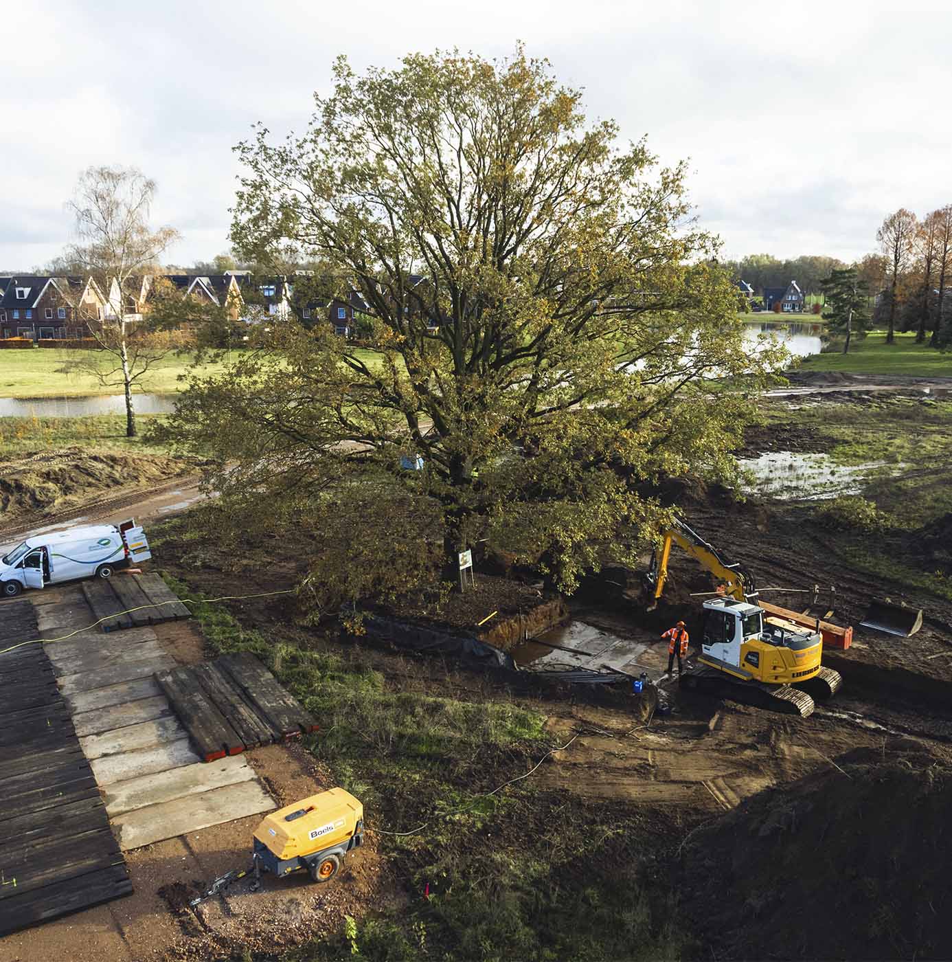 Medewerker begeleidt graafmachine bij het vrijgraven van een grote boom voor verplanting in nieuwbouwwijk.