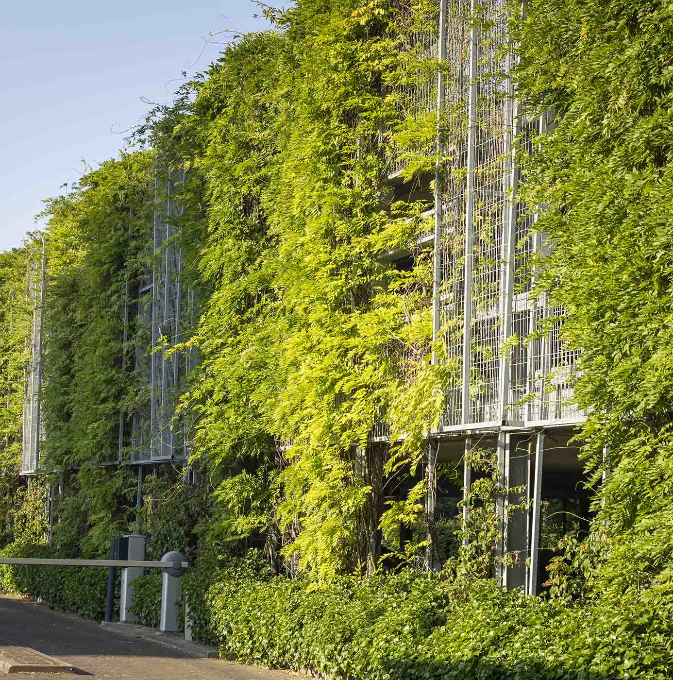 Parkeergarage met gevel volledig begroeid met klimplanten op een klimrekconstructie.