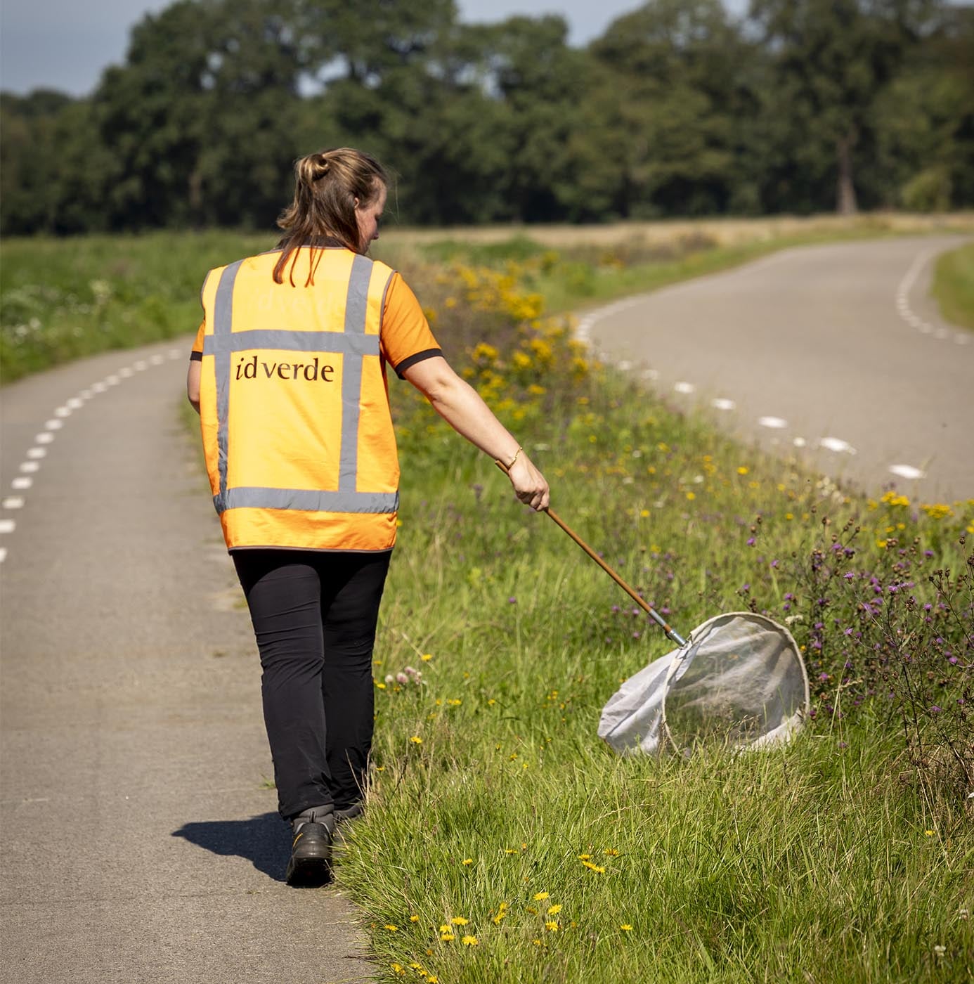 Medewerker van idverde doet met een insectennet ecologisch onderzoek langs een bloemrijke berm.