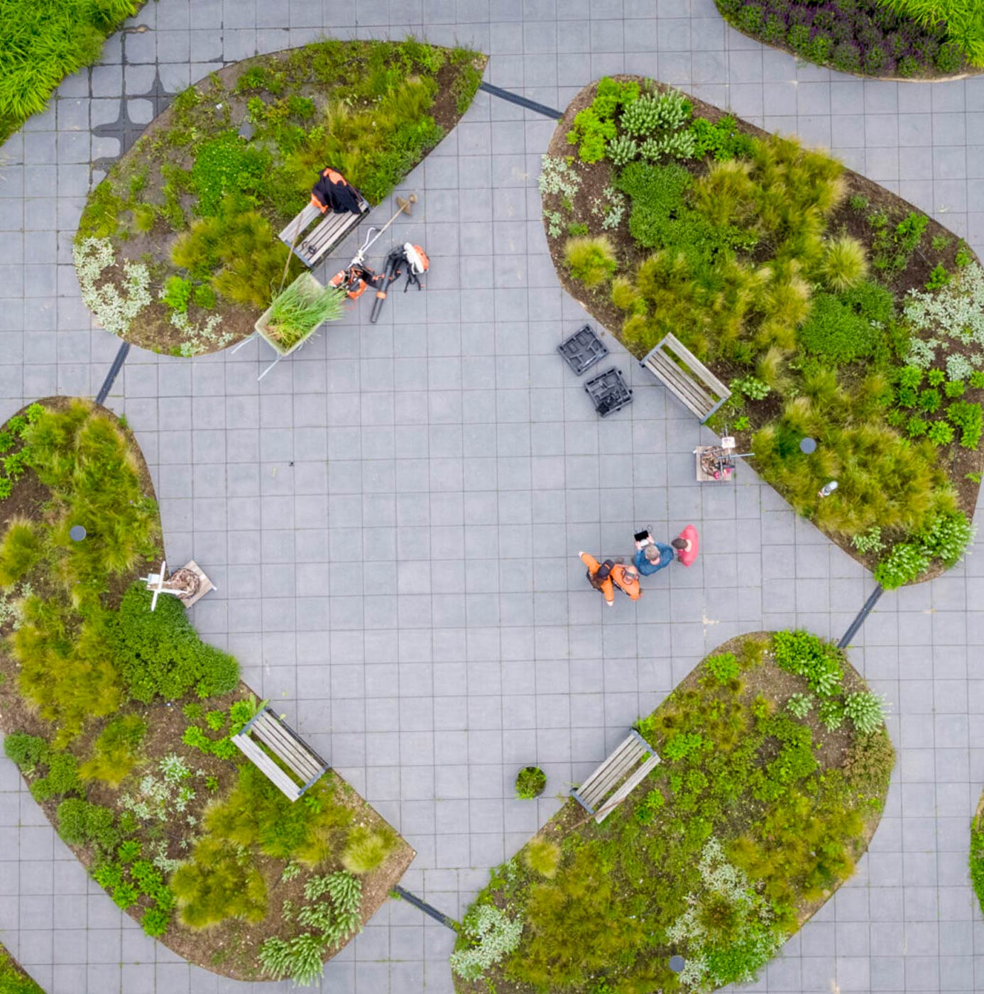 Luchtfoto van medewerkers die groenperken onderhouden in een stedelijk plein met ovale plantvakken.