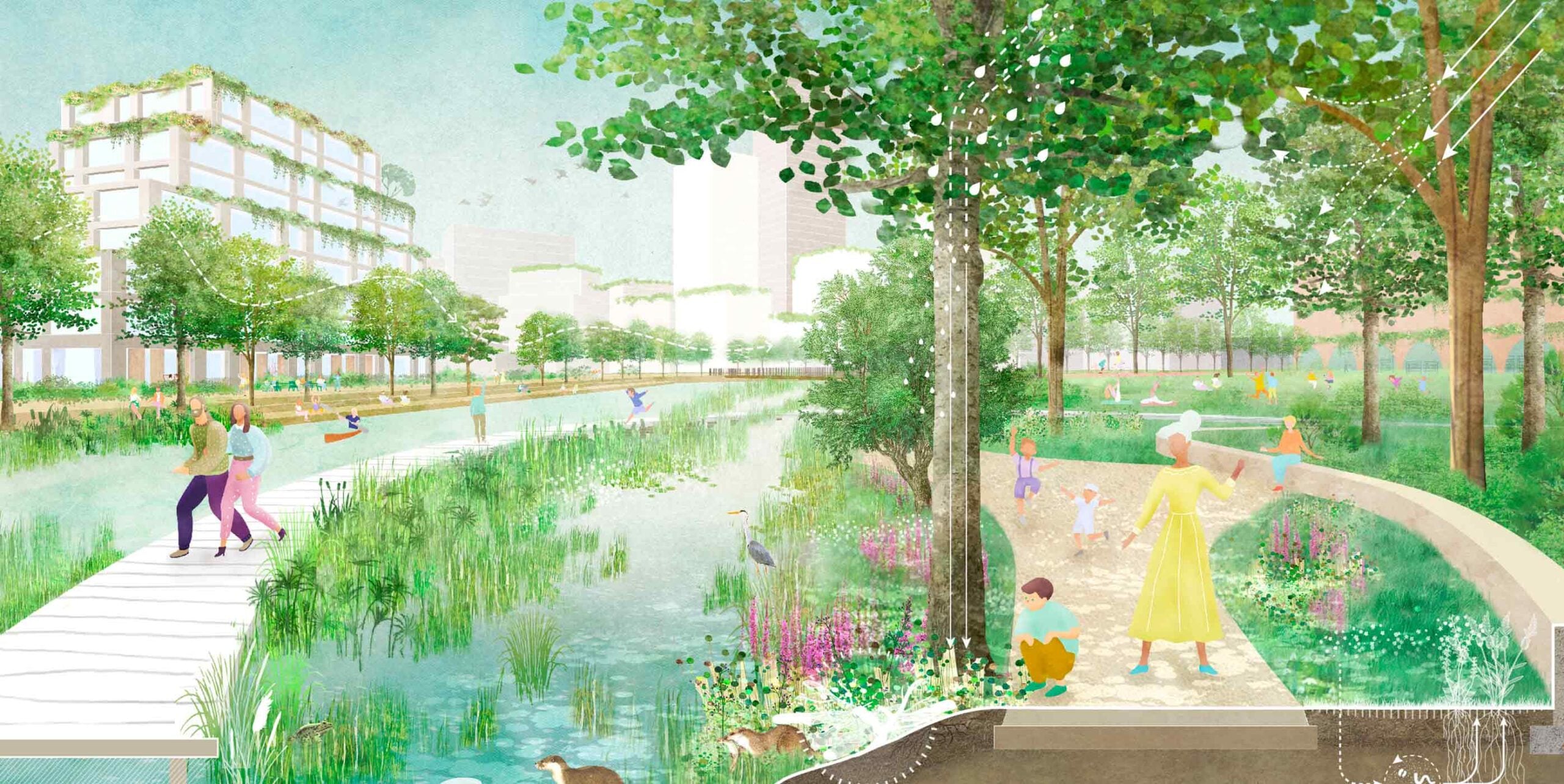 Illustratie van een groen stadspark met waterpartij, rietoevers en spelende mensen tussen hoogbouw.