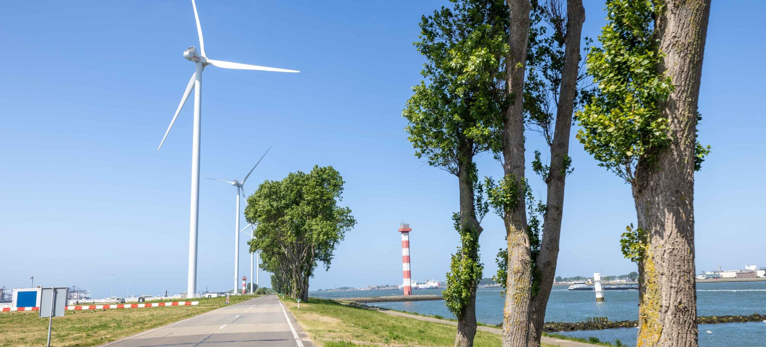 Bomenrij langs een dijkweg met windturbines en een vaarwater op de achtergrond.