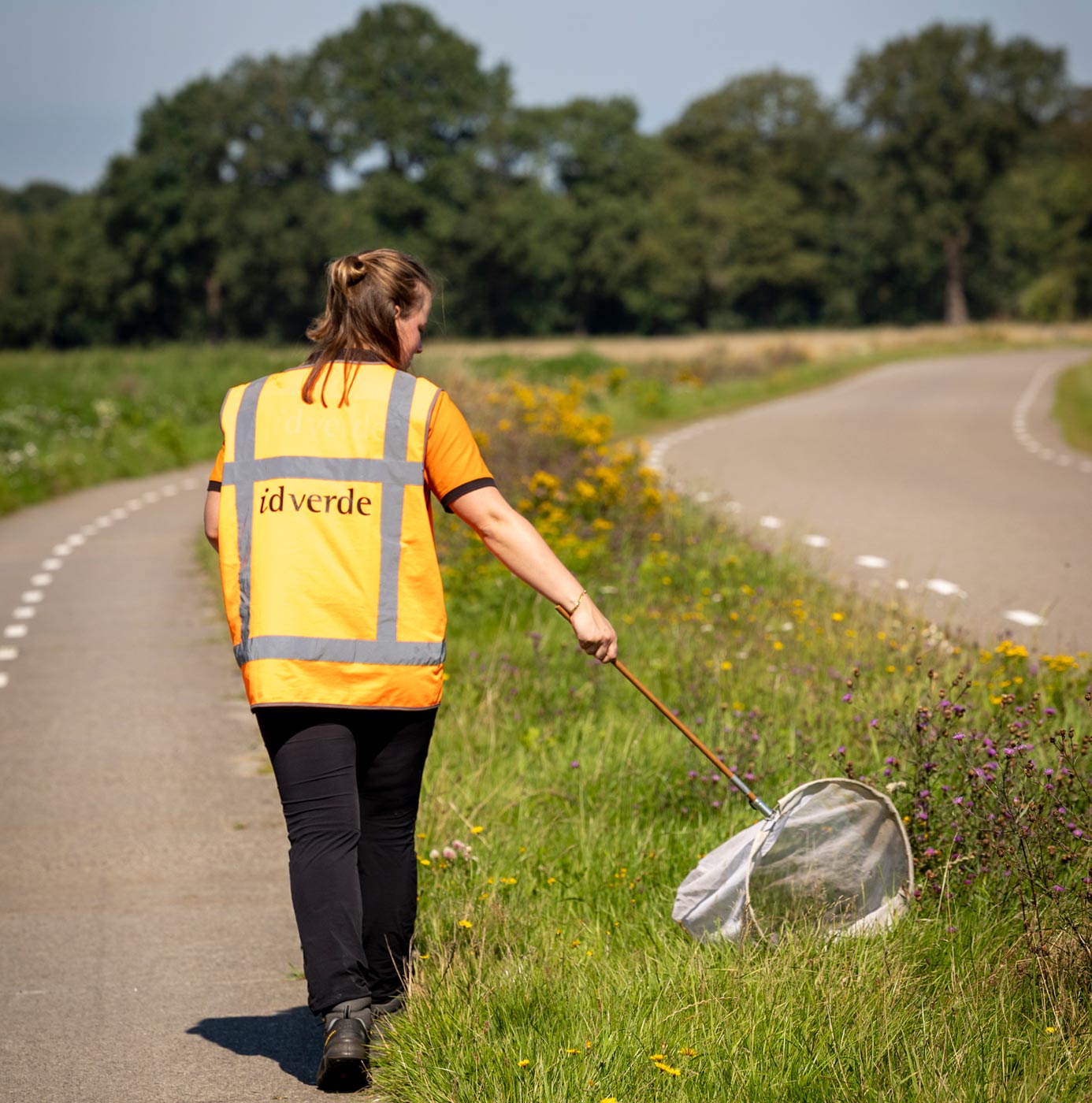 Medewerker van idverde inventariseert insecten met een vangnet langs een bloemrijke berm.