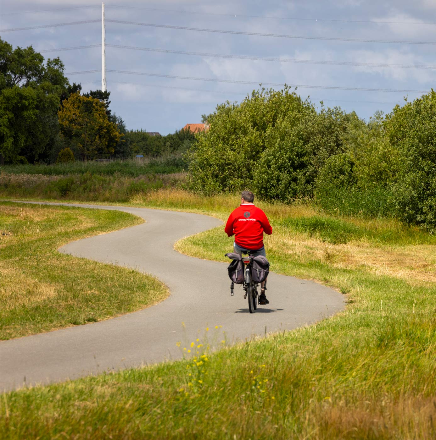 Fietser rijdt over slingerend fietspad langs groene struiken en grasland.