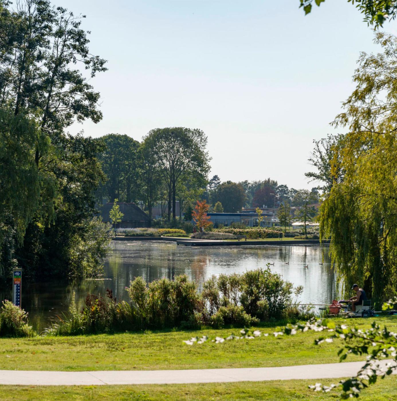 Openbaar park met vijver, gazon, beplanting en wandelpad in een woonomgeving.