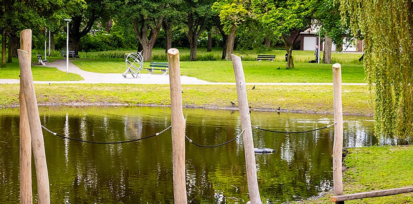 Parkvijver met houten afmeerpalen, gazon, wandelpaden en volwassen boombeplanting.