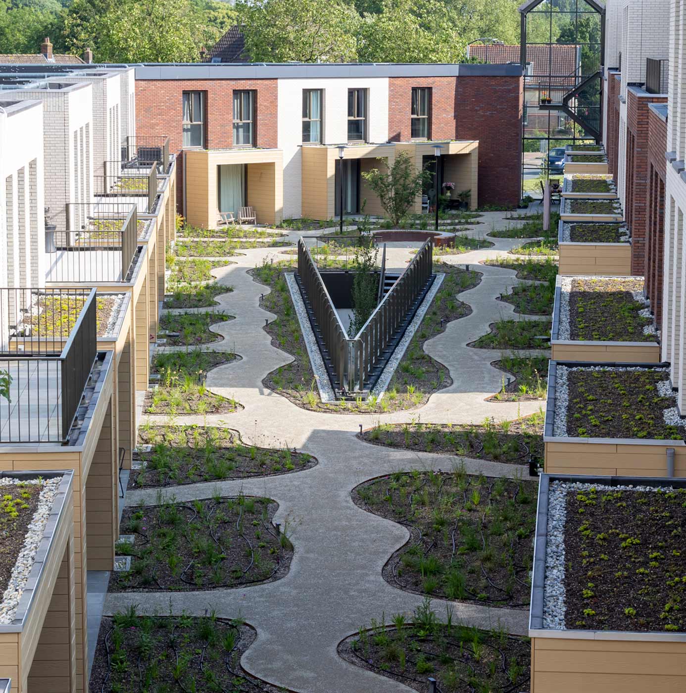 Binnentuin tussen woningen met golvende paden, beplantingsvakken en groene daken op balkons.
