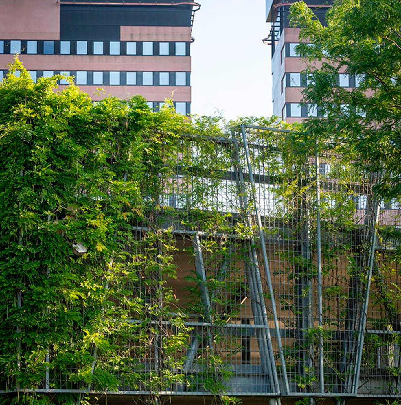 Beplante groene gevel op metalen klimrekken tegen een kantoorgebouw.