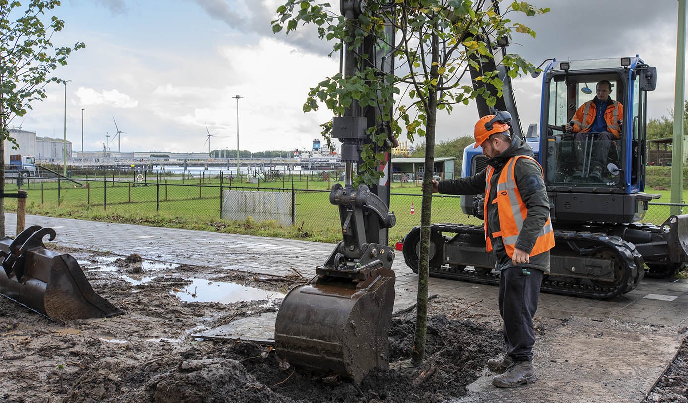 Medewerkers planten bomen langs een havenweg met behulp van een minigraafmachine.