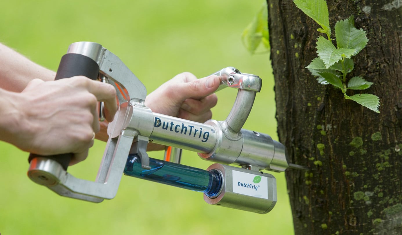 Medewerker injecteert boomstam met een DutchTrig-boominjectiesysteem ter bestrijding van boomziekten.