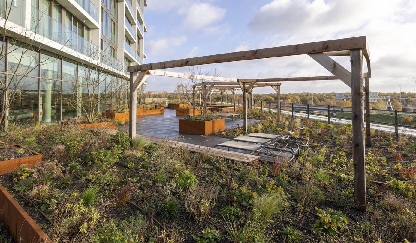 Beplant dakterras met houten pergola's en cortenstalen plantenbakken bij een kantoorgebouw.