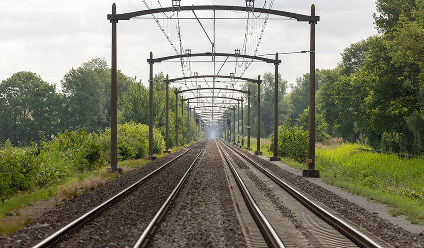 Spoorlijn met bovenleidingportalen, geflankeerd door struiken en bomen langs het spoortalud.