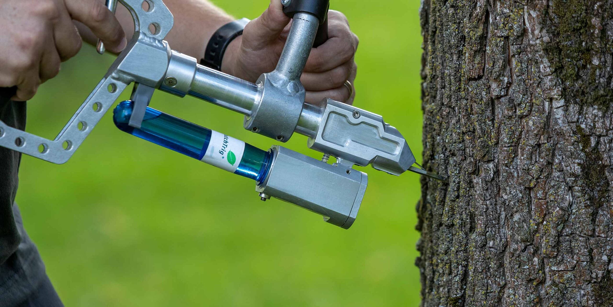 Medewerker injecteert boombeschermingsmiddel in boomstam met een injectieapparaat.