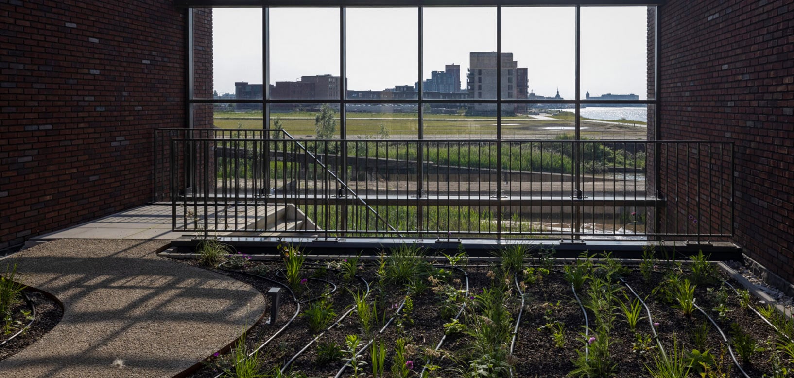 Nieuw aangelegde beplanting met druppelirrigatie op dakterras bij een gebouw, met uitzicht op een stadslandschap.
