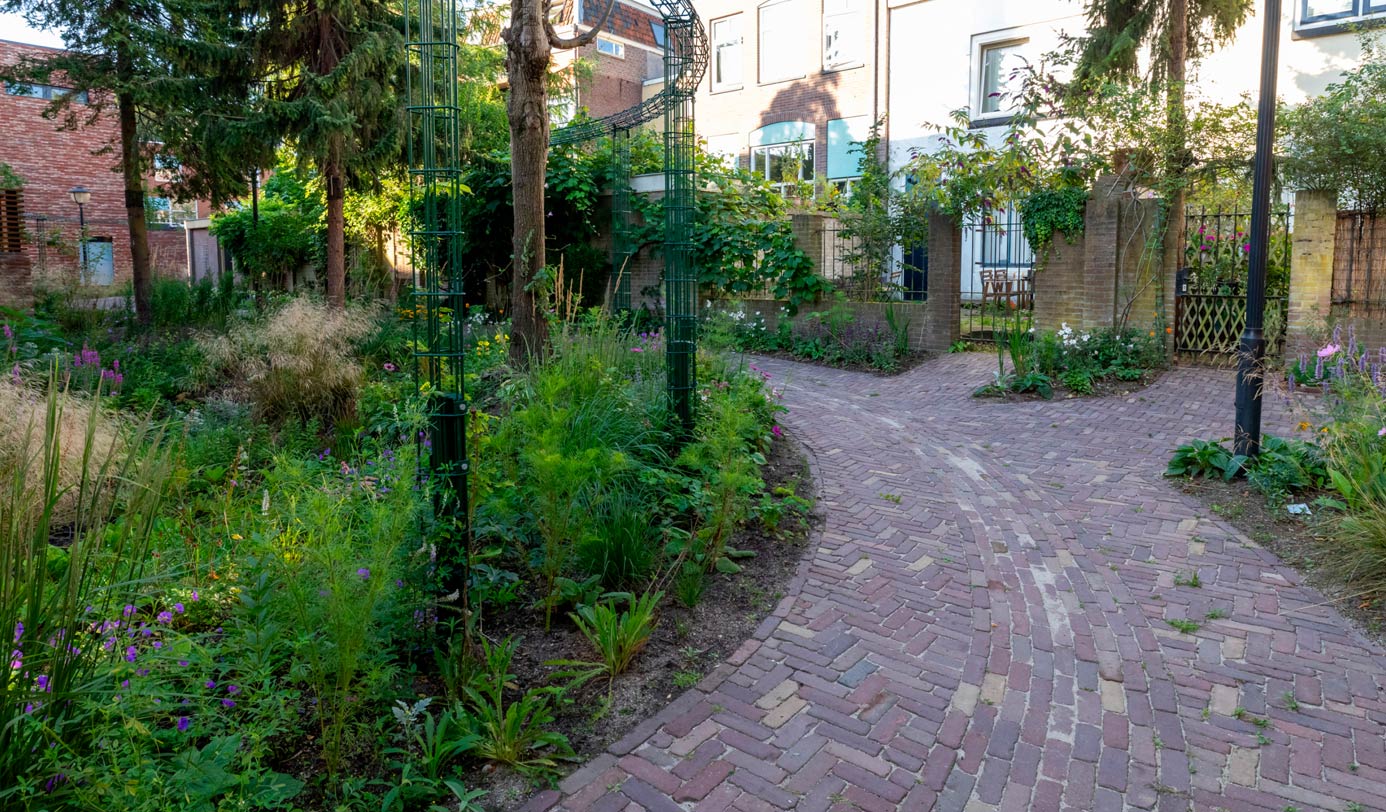 Klinkerpad tussen groene beplanting met bloemen en grassen in binnentuin tussen woningen.