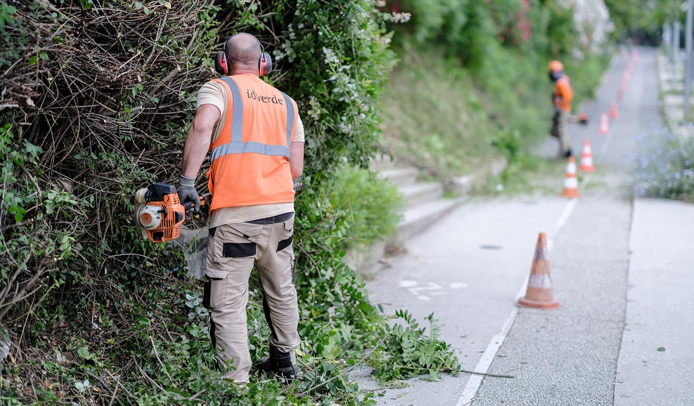 Medewerkers van idverde snoeien met een heggenschaar de begroeiing langs een afgezette weg.