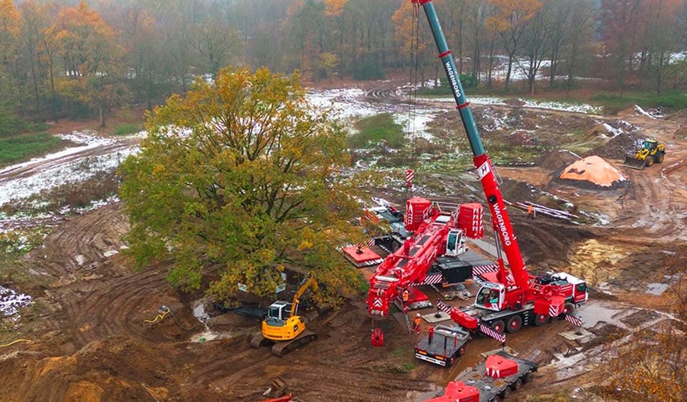 Grote kraan verplaatst volwassen boom op een bouwterrein met graafmachine.