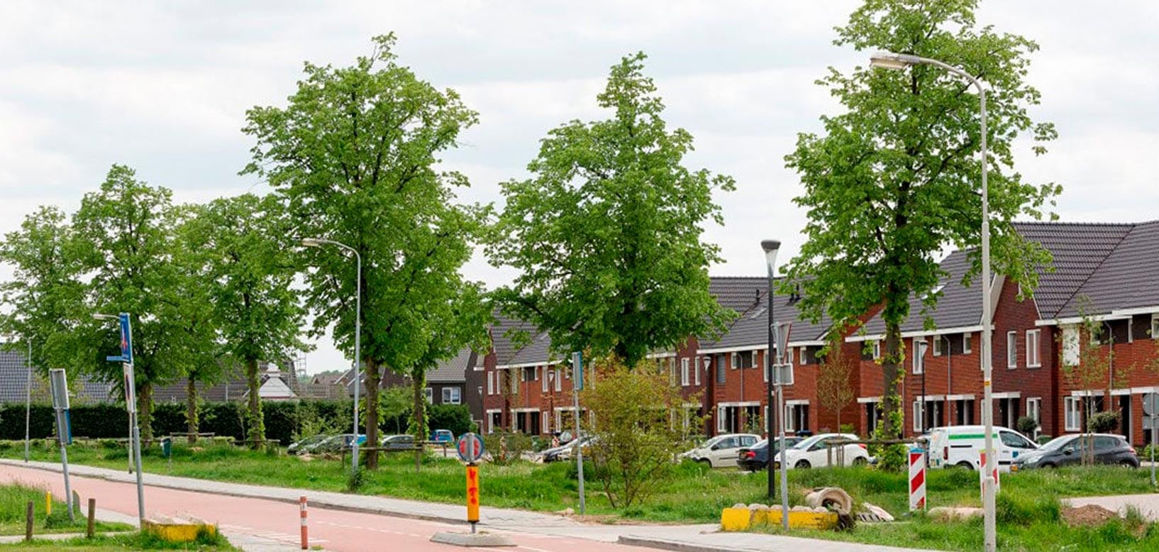 Volwassen straatbomen en grasbermen langs een woonwijk met rijtjeshuizen.