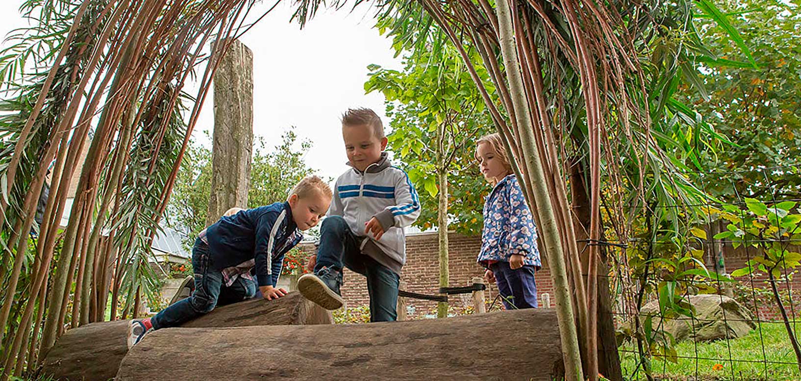 Kinderen spelen en klimmen op boomstammen onder een wilgentenen speelboog in een groene speeltuin.
