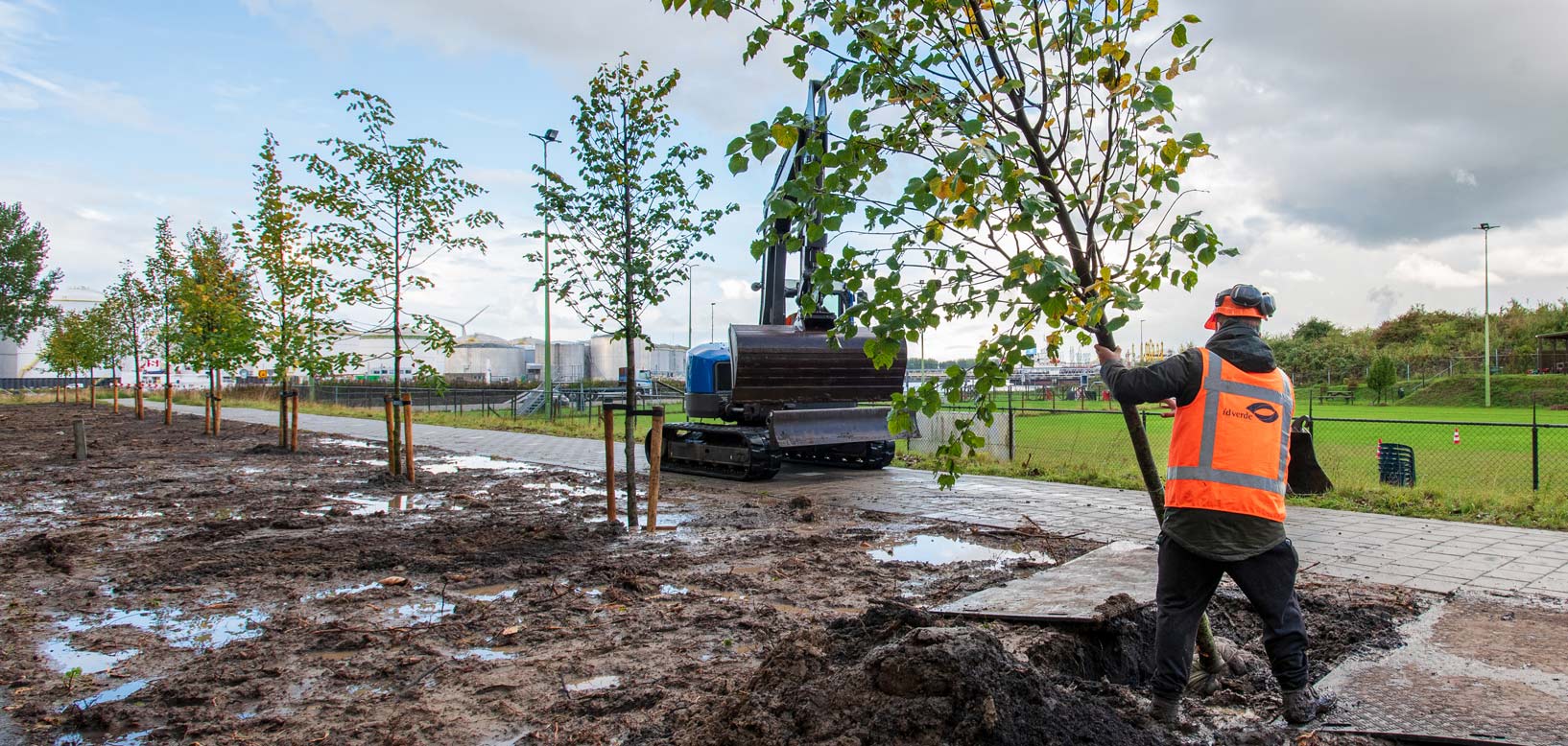 Medewerker van idverde plant een boom langs een pad in industrieel gebied, met een minigraver op de achtergrond.