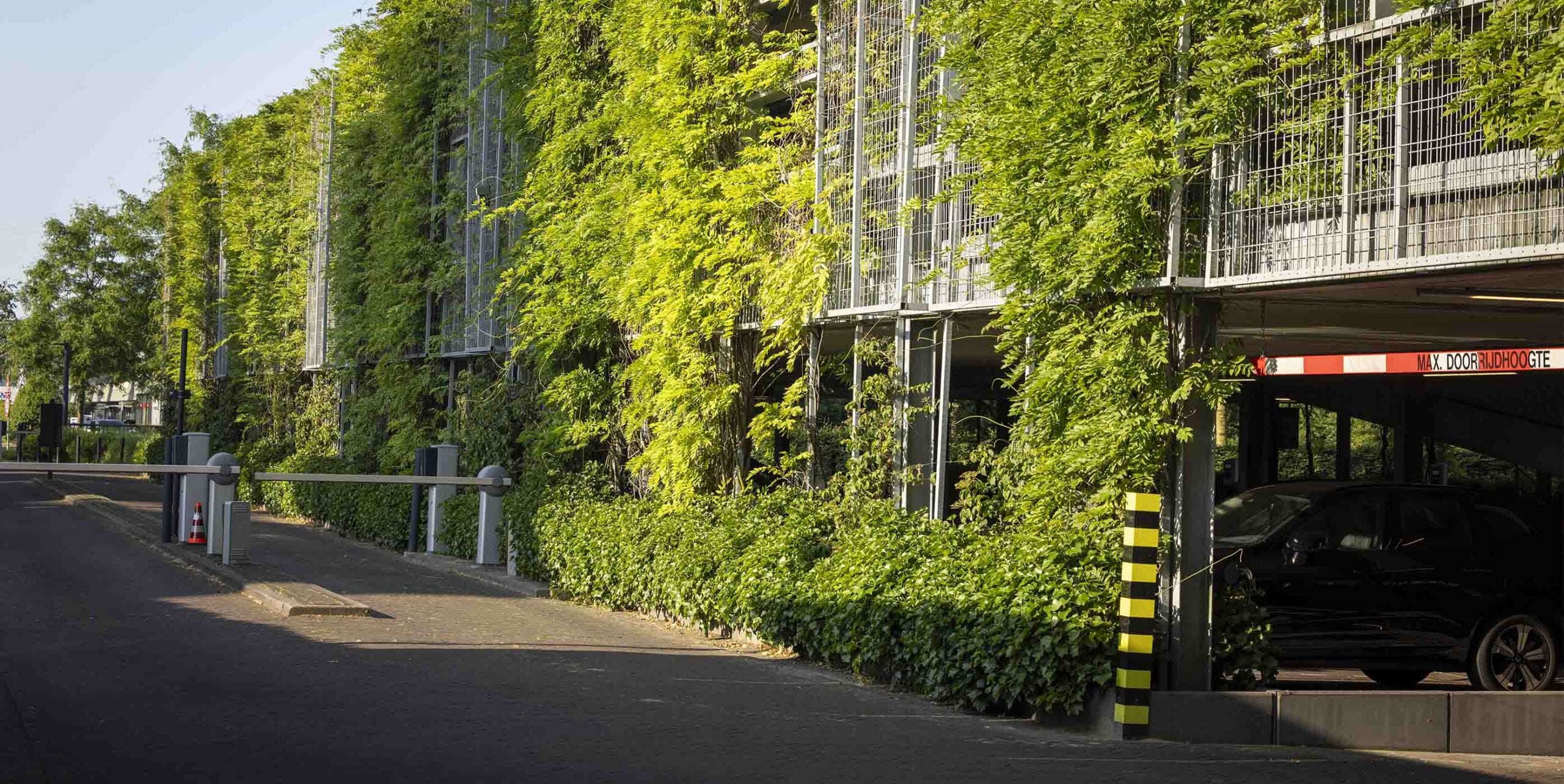 Volledig begroeide gevel van een parkeergarage met klimplanten.