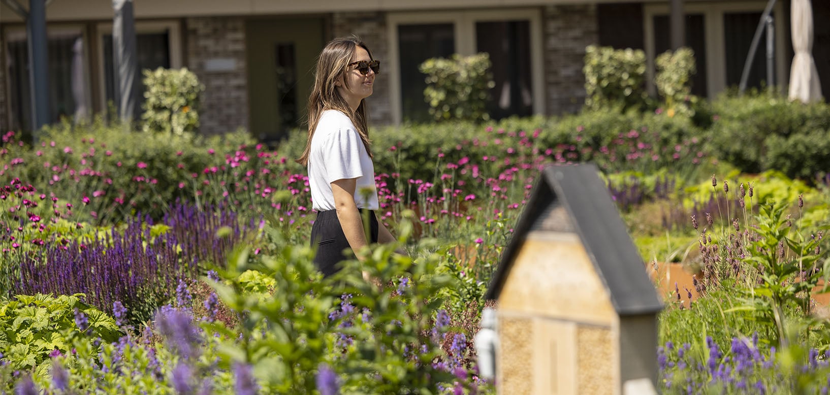 Vrouw loopt door een bloeiende border met salvia en anjers tussen woningen, met een insectenhotel op de voorgrond.