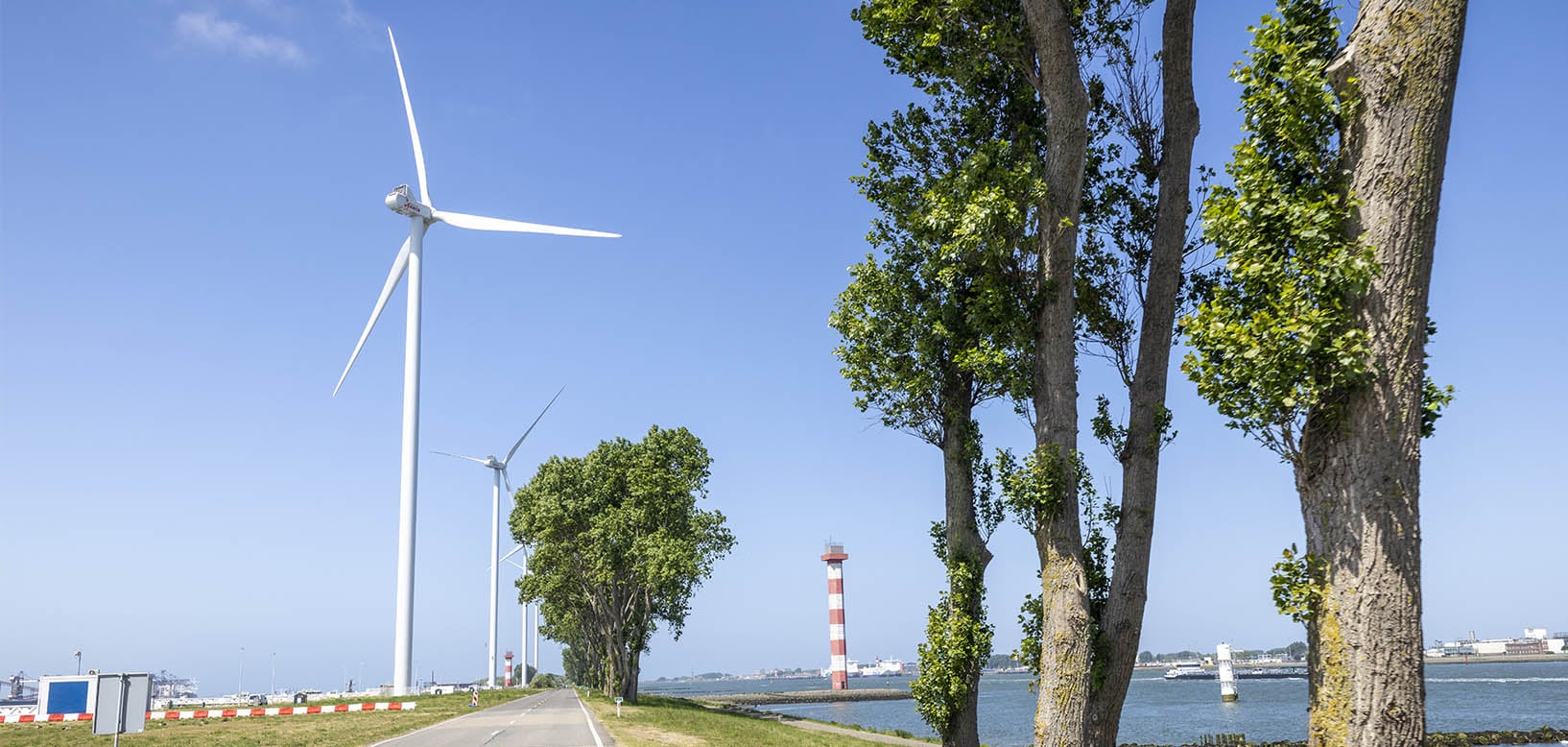 Bomenrij langs een dijkweg met windturbines en een vuurtoren bij het water.