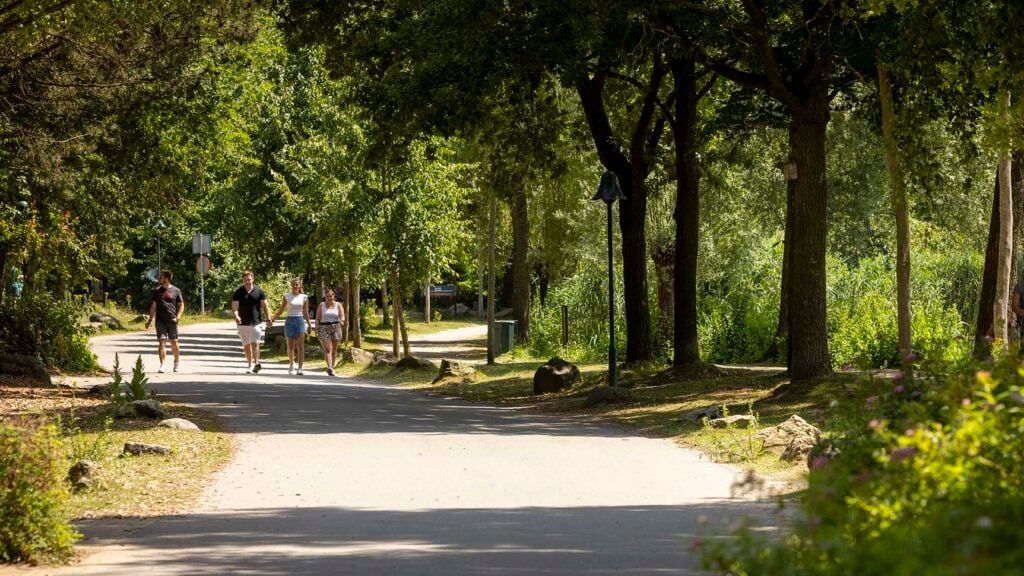 Wandelaars op verhard pad door beheerd bomenpark met struiken en beplanting langs de route.