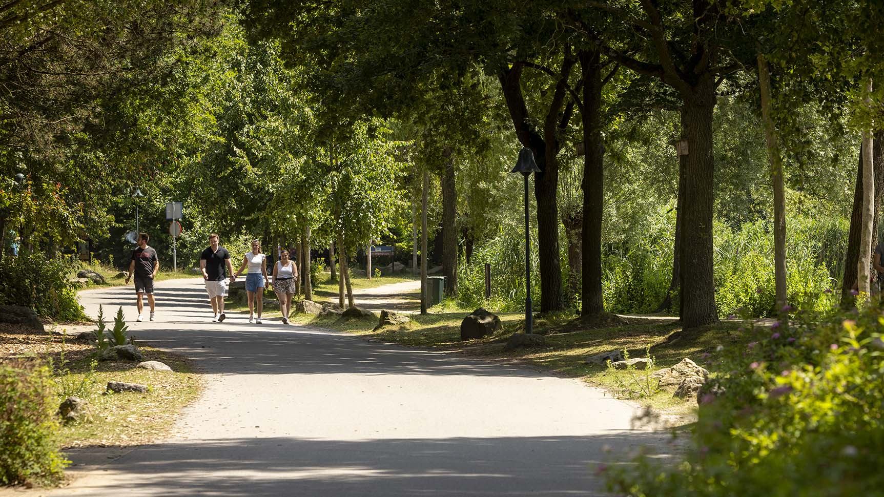 Wandelaars op verhard pad door beheerd bomenpark met struiken en beplanting langs de route.