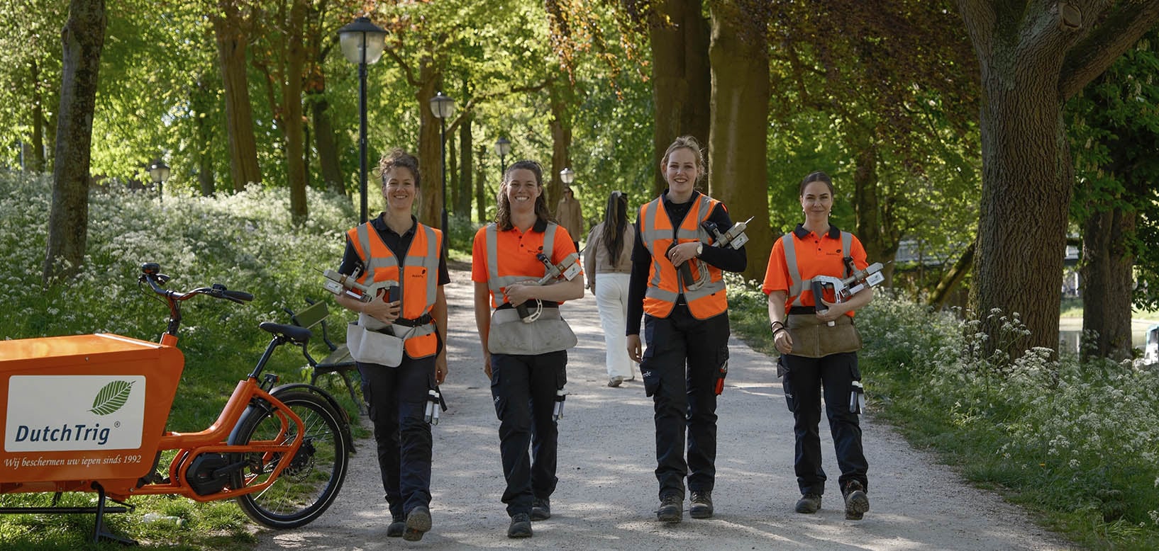 Vier medewerkers in oranje veiligheidsvesten lopen met injectieapparatuur voor iepenziektebestrijding door een laan.