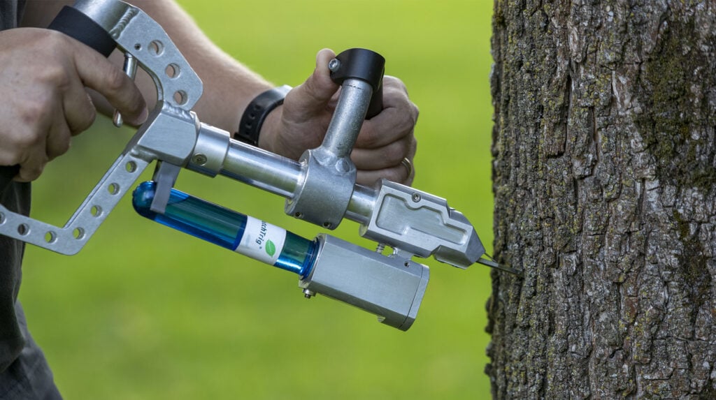 Medewerker injecteert een boom met een boominjectieapparaat ter bescherming tegen ziekte.