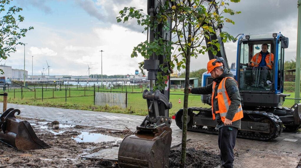 Medewerkers planten een boom met een graafmachine in een havengebied in Rotterdam.