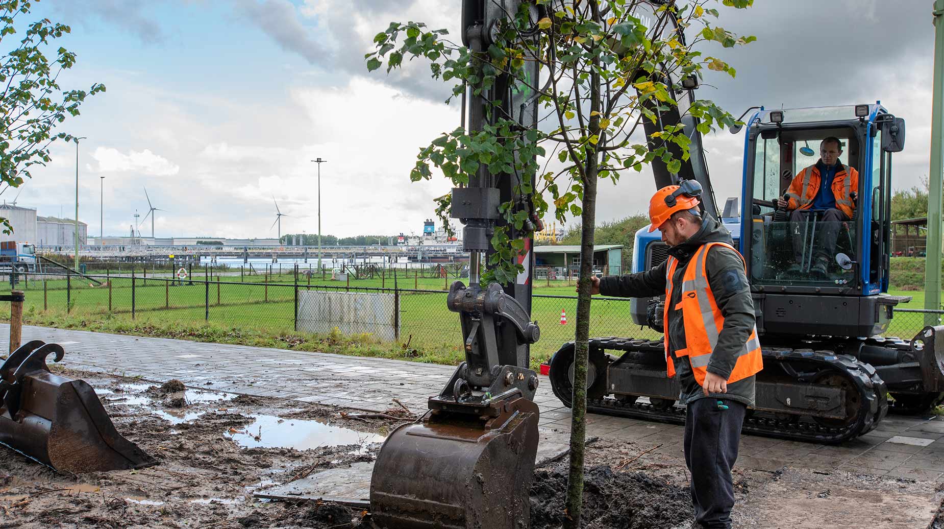 Medewerkers planten een boom met een graafmachine in een havengebied in Rotterdam.