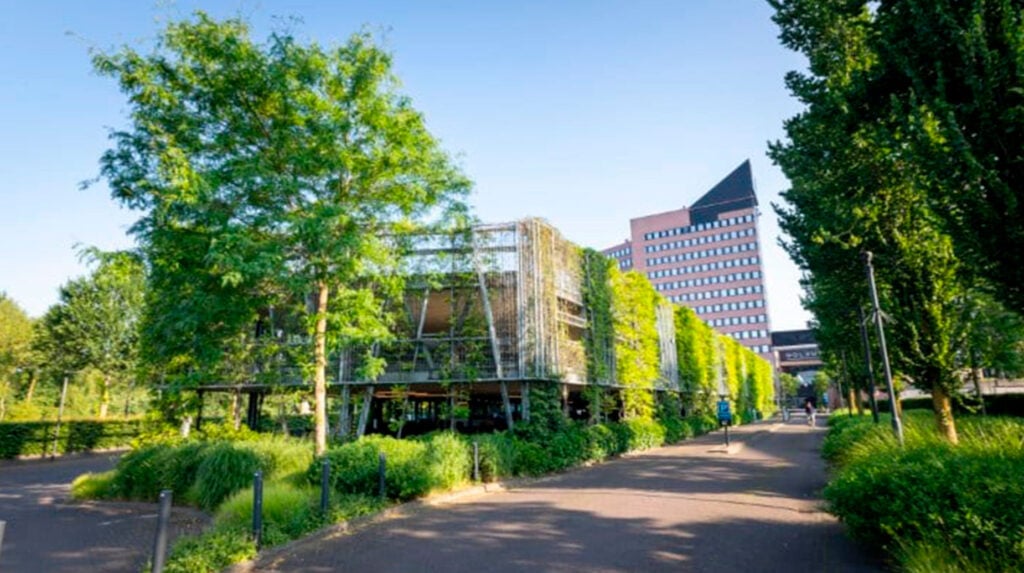 Gevelbegroeiing van klimplanten aan een gebouw in stedelijke omgeving, omringd door bomen en beplanting.