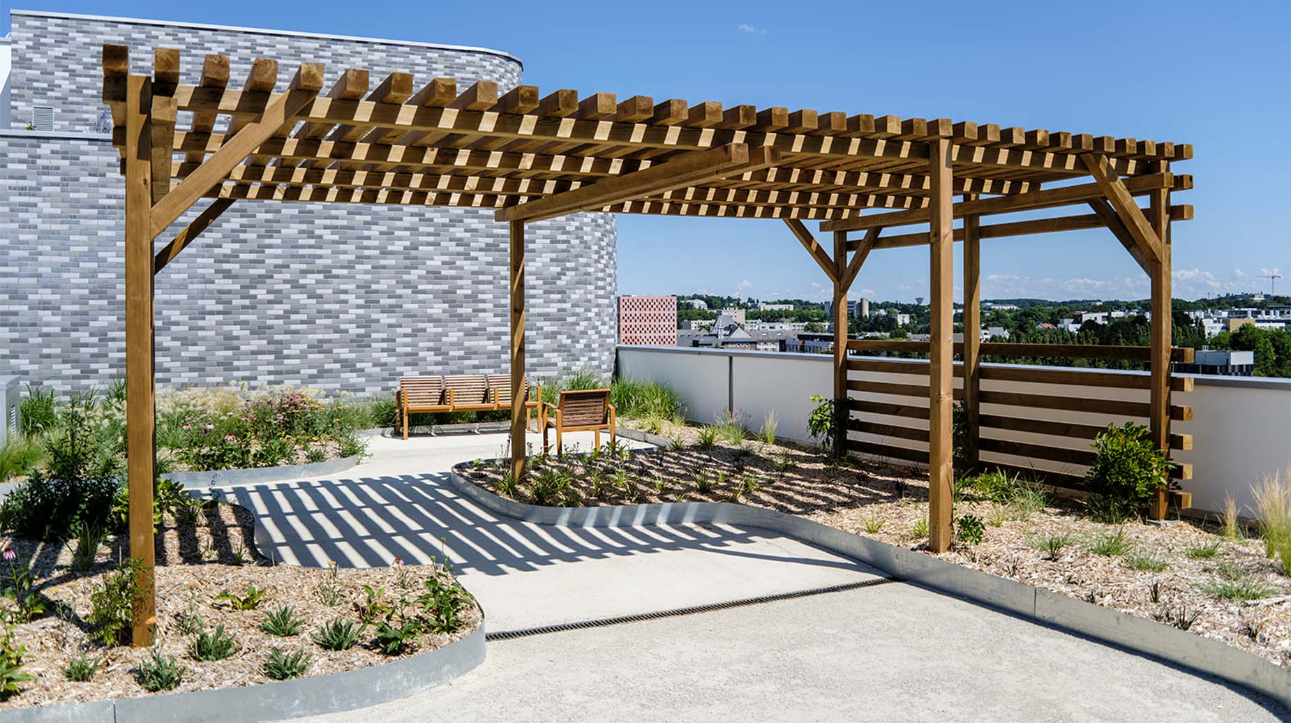 Aangelegde daktuin met houten pergola, zitbanken en beplanting op stadsdak.