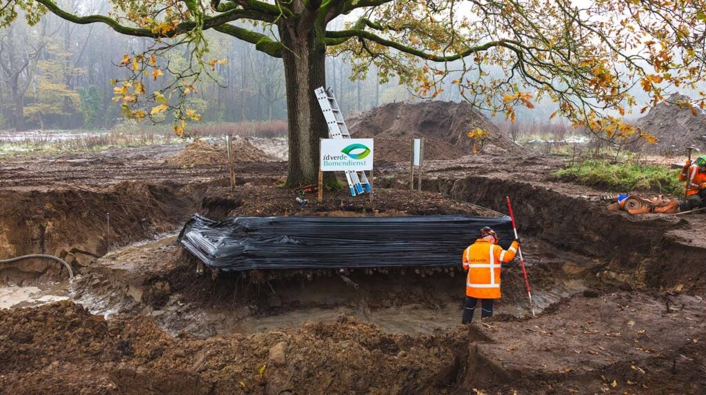 idverde Bomendienst medewerkers beschermen boomwortels tijdens grondwerkzaamheden in Raalte