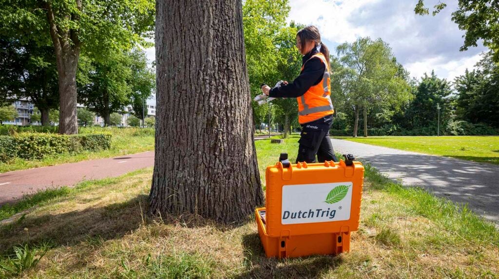 Medewerker van idverde meet met een DutchTrig-apparaat de conditie van een boomstam in een park.
