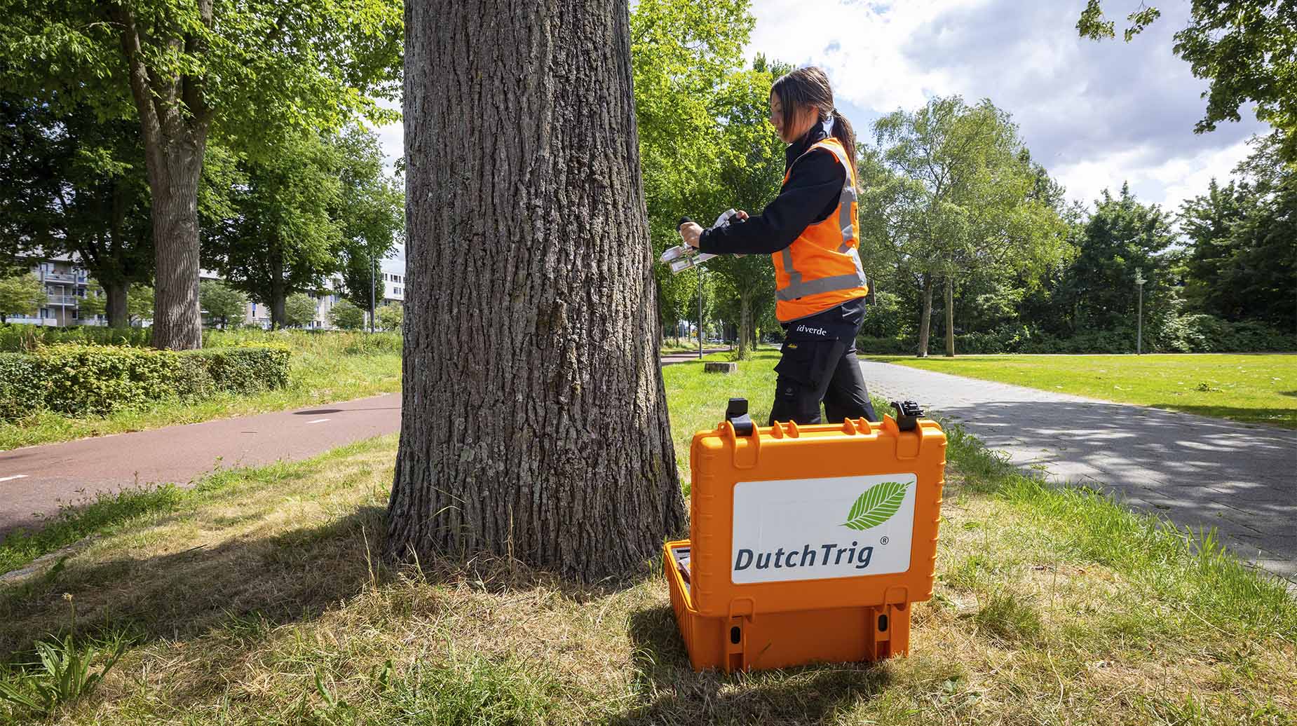 Medewerker van idverde meet met een DutchTrig-apparaat de conditie van een boomstam in een park.