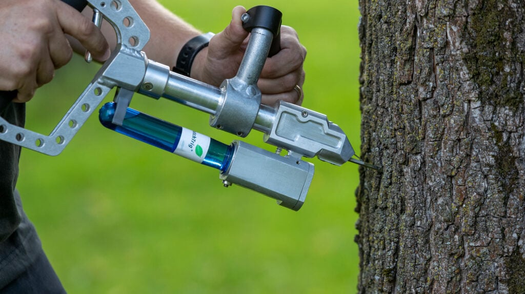 Medewerker injecteert boomstam met een boominjectieapparaat als boombehandeling.