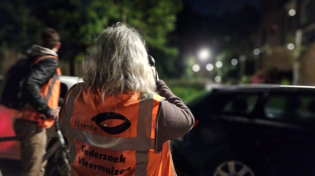 Idverde-medewerker met oranje vest 'Onderzoek Vleermuizen' luistert via koptelefoon tijdens nachtelijk veldonderzoek in Amsterdam.