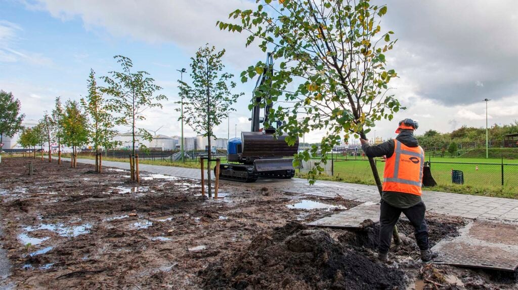 Medewerker van idverde plant een boom langs een pad in een industriegebied, met een graafmachine en een rij nieuw geplante bomen op de achtergrond.