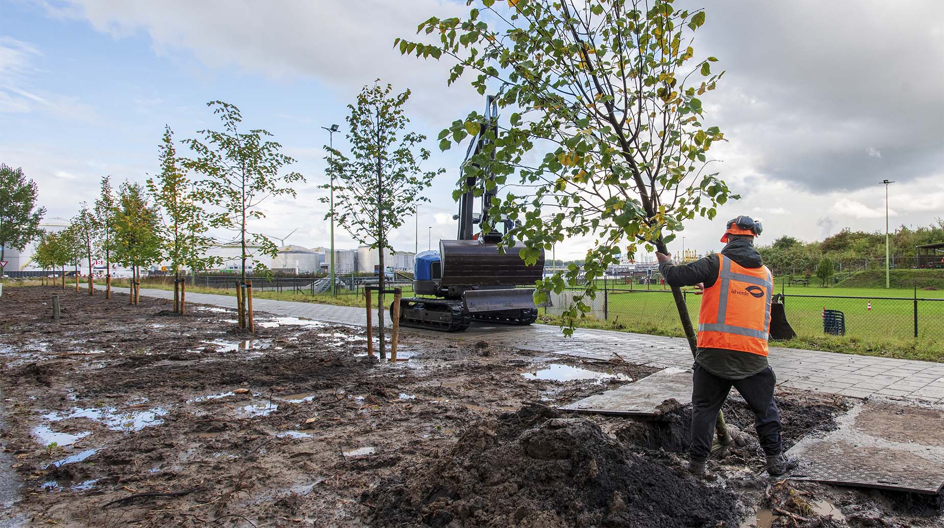Medewerker van idverde plant een boom langs een pad in een industriegebied, met een graafmachine en een rij nieuw geplante bomen op de achtergrond.