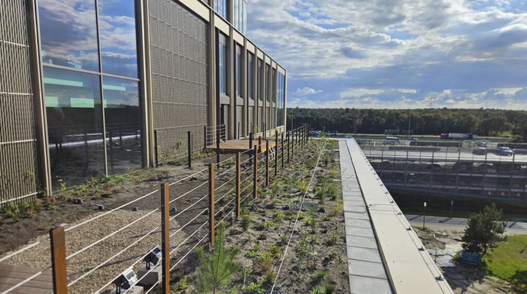 Nieuw aangelegd groendak met beplanting en klimrekken naast kantoorgebouw op bedrijventerrein.
