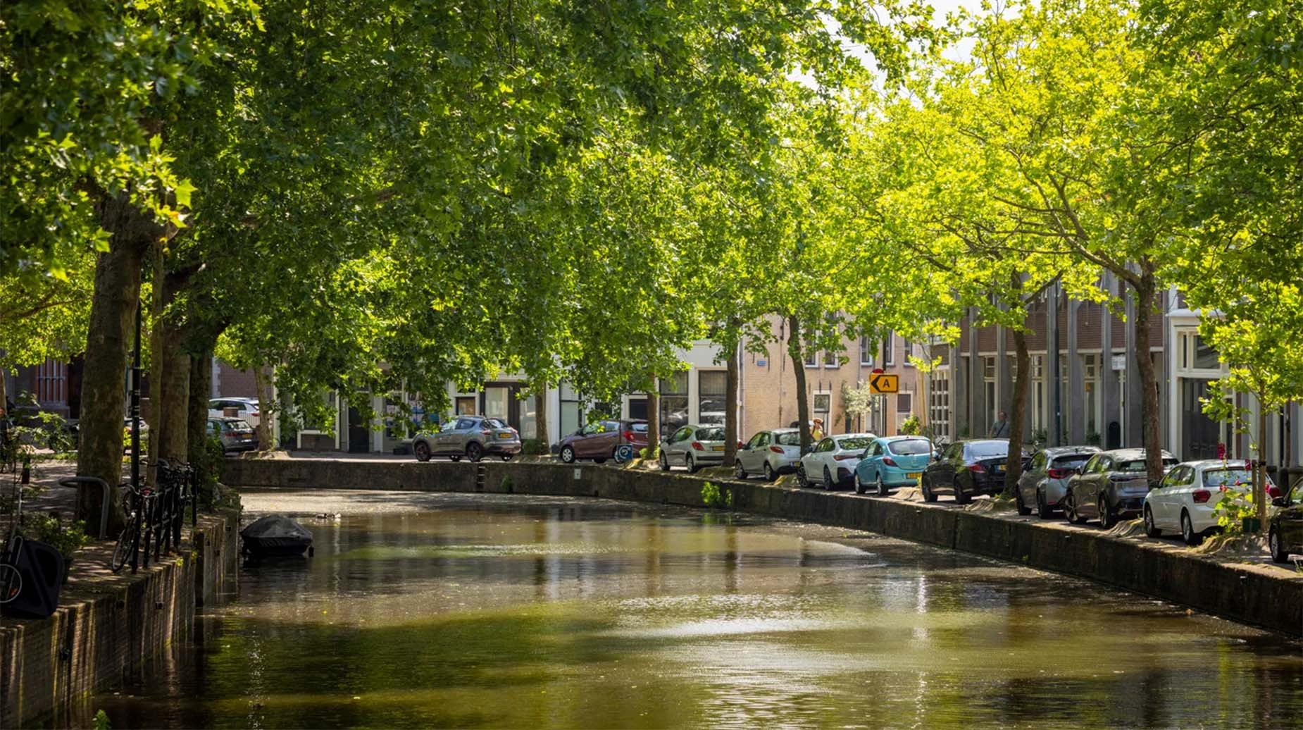 Volwassen platanen langs een gracht in een Nederlandse binnenstad zorgen voor schaduw en verkoeling.
