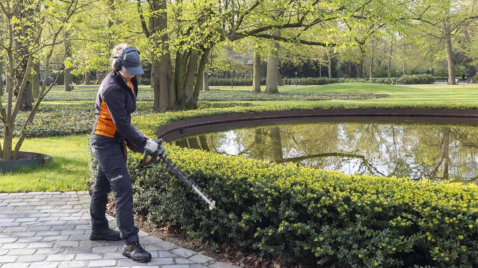 Medewerker van idverde snoeit een lage heg met een heggenschaar langs een vijver in een park.