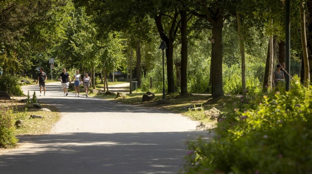 Wandelaars op verhard pad door groen aangelegd park met bomen en beplanting.