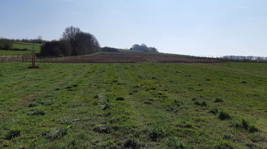 Glooiend grasland in het heuvellandschap met een bewerkte grondstrook en een jonge aangeplante boom.