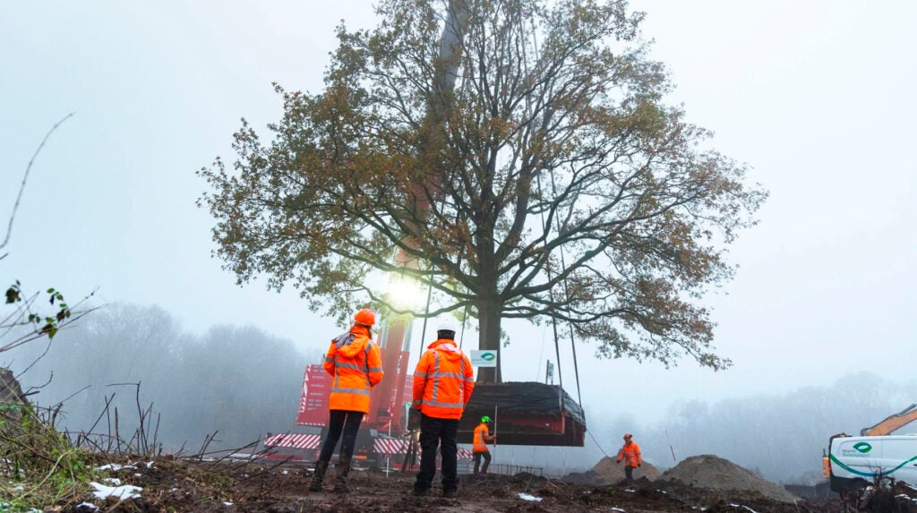 Medewerkers in oranje veiligheidsjassen observeren het verplaatsen van een grote boom met een kraan op een mistige dag.