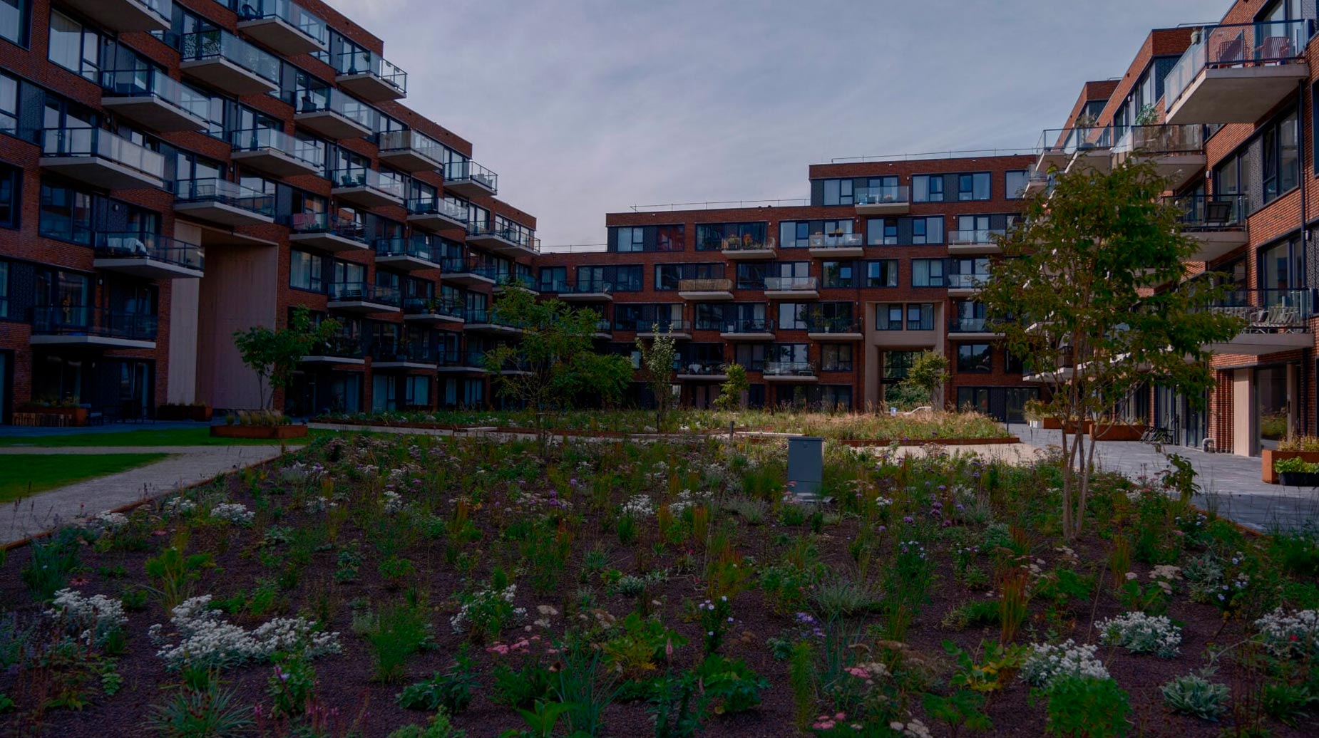 Beplant binnentuin met vaste planten en jonge bomen tussen appartementengebouwen.