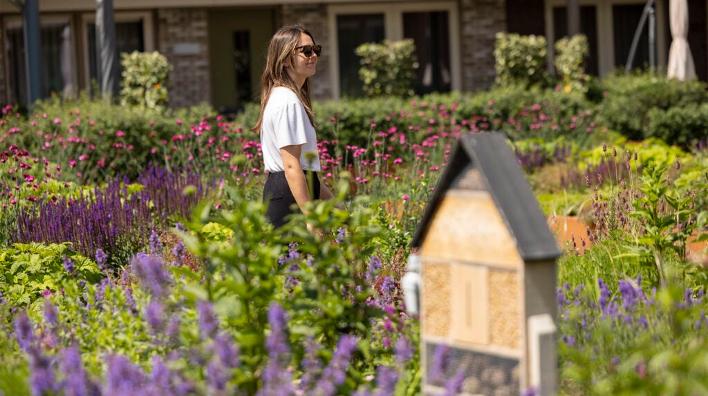 Vrouw wandelt door een bloemrijke daktuin met paarse en roze bloemen en een insectenhotel